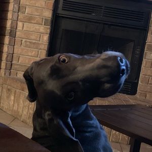 Meet your Posher, Isaac